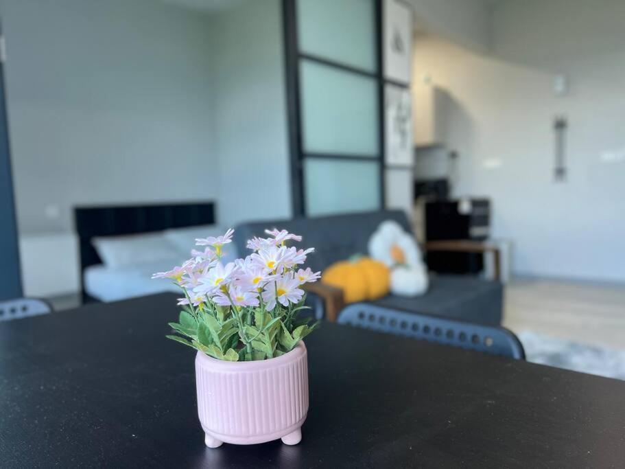 Jq Jesselton Quay Little Angel New Cityseaview Lv29 Netflix 6pax